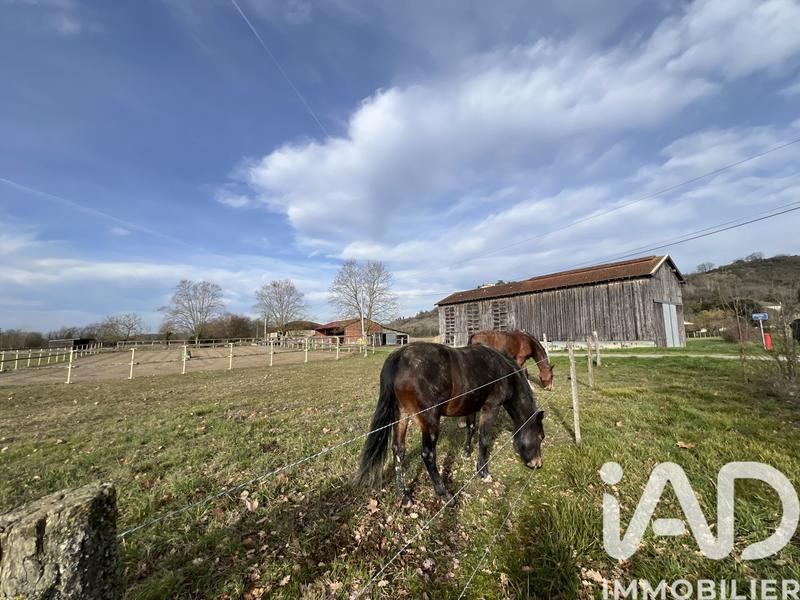 Ferme - 150 m² - 5 pièces