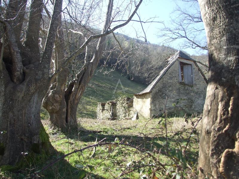 Grange - 70 m² - 1 pièce