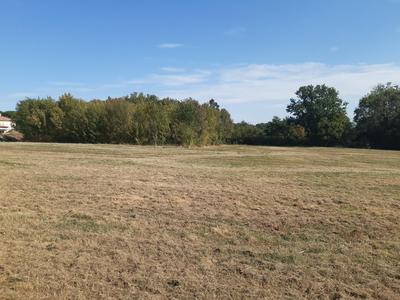 Terrain constructible - 8 711 m²