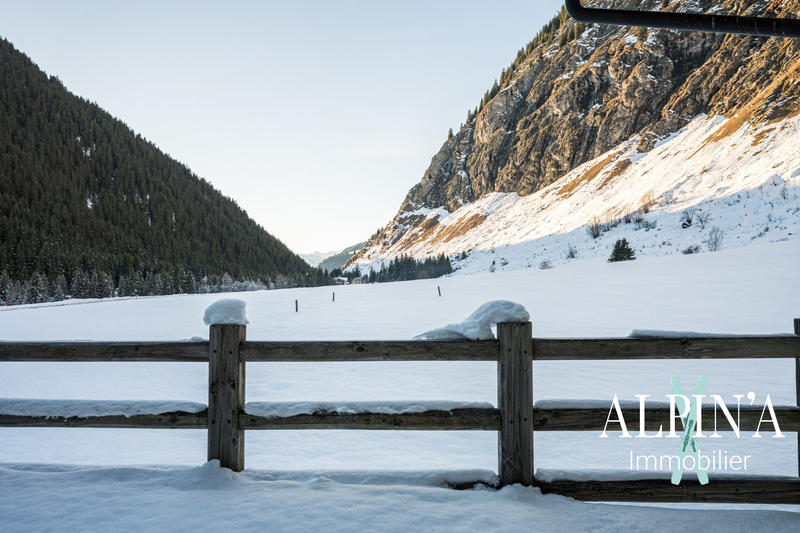 Châlet - 414 m² - 9 pièces