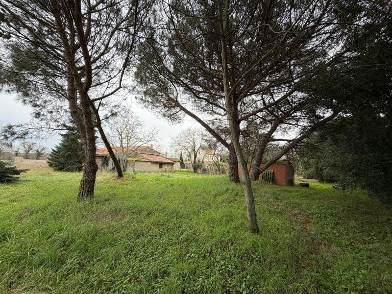 Maison - 61 m² - 2 pièces