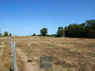 Maison de domaine équestre - 100 m² - 1 pièce