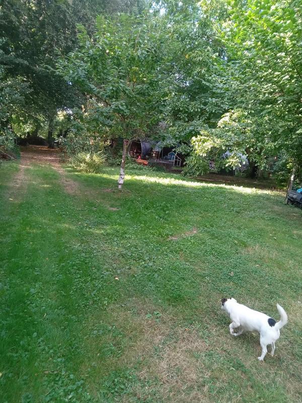 Maison - 149 m² - 6 pièces