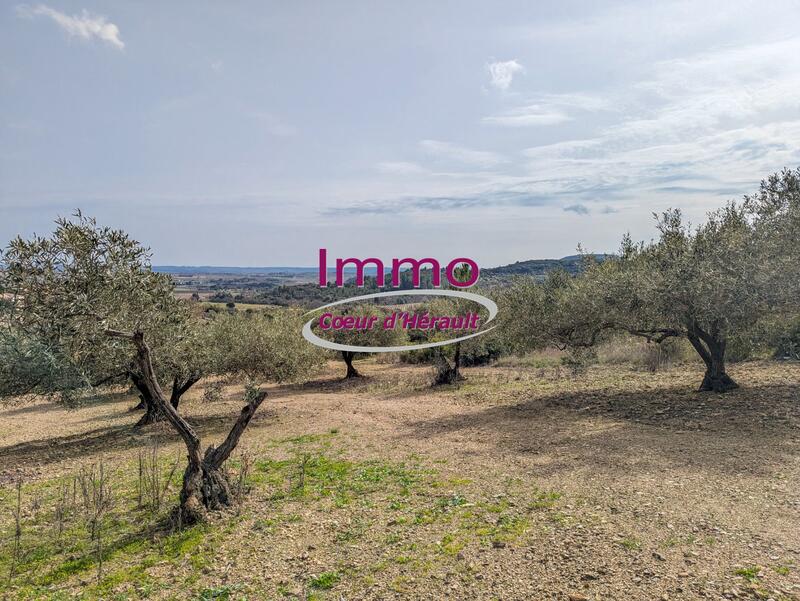 Terrain constructible - 4 920 m²