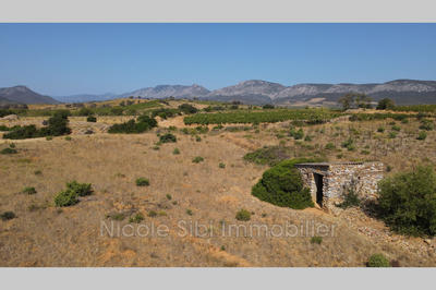 Terrain agricole - 10 255 m²