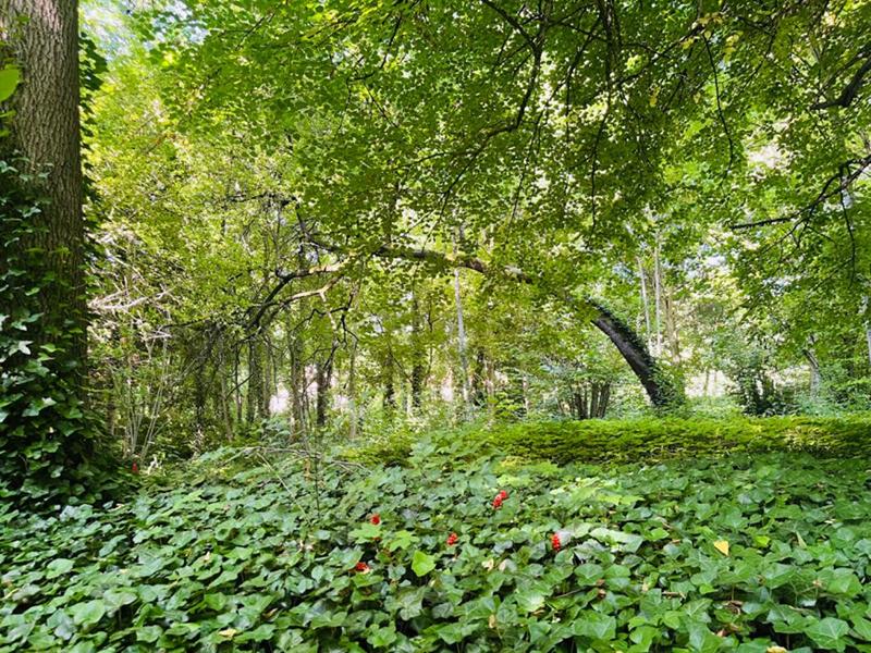 Maison - 359 m² - 11 pièces