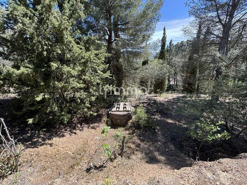 Terrain - 13 051 m²