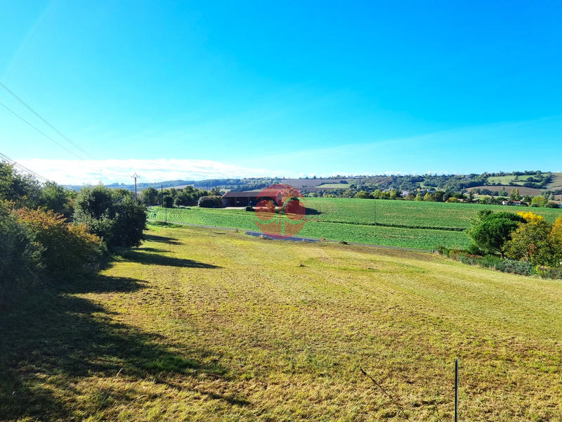 Terrain - 1 216 m²