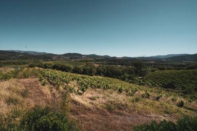 Terrain - 148 075 m²