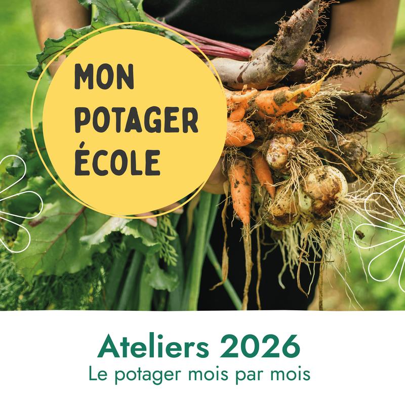 Atelier au potager-école : Repiquer ses plants et soigner son potager