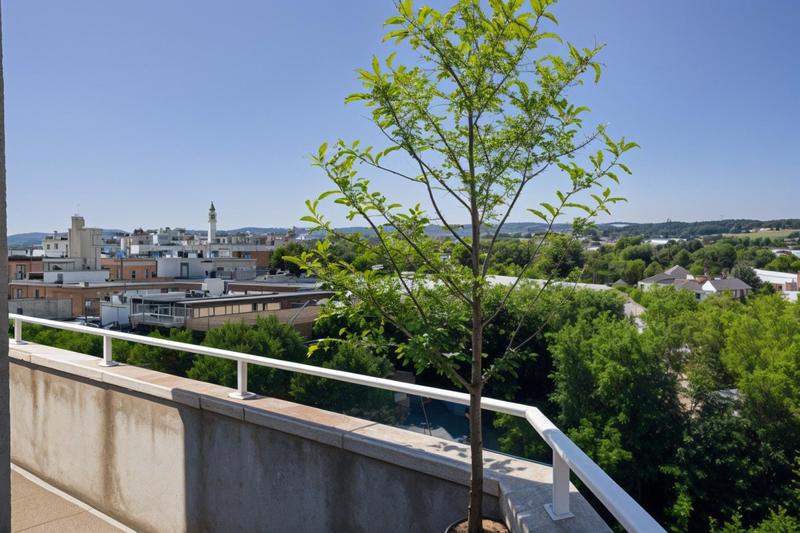 Appartement - 76 m² - 4 pièces