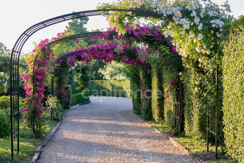 Maison - 205 m² - 9 pièces