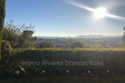 Appartement - 44 m² - 1 pièce