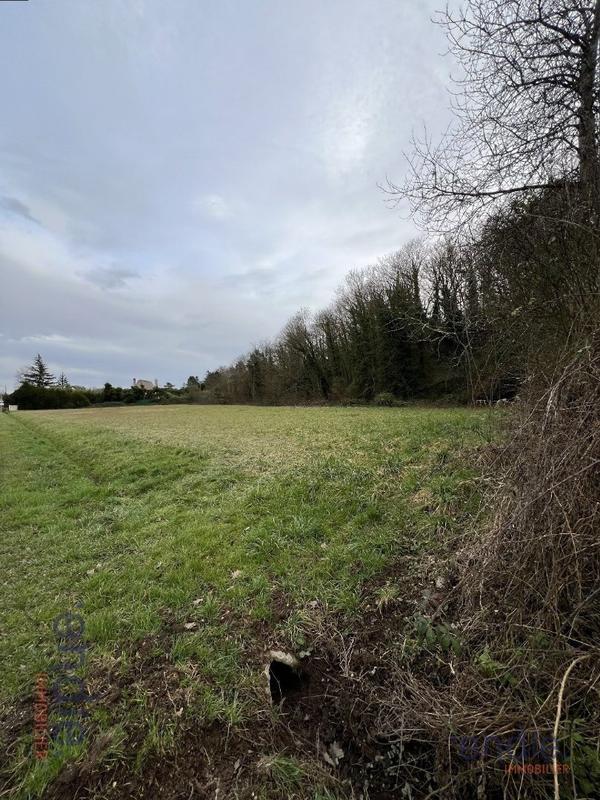 Terrain constructible - 7 323 m²