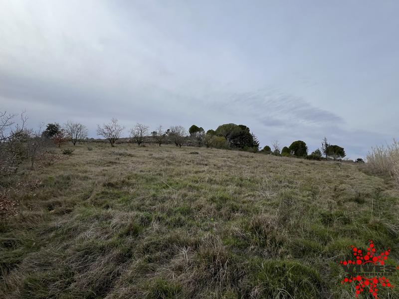 Terrain agricole - 5 915 m²