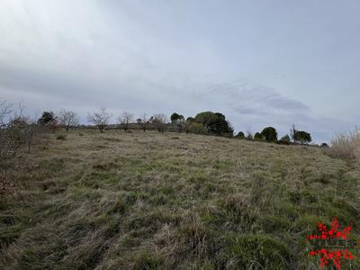 Terrain agricole - 5 915 m²
