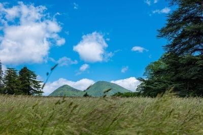 Manoir - 5 000 m² - 200 pièces