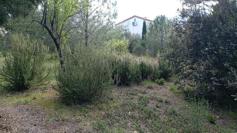 Terrain constructible - 1 078 m²