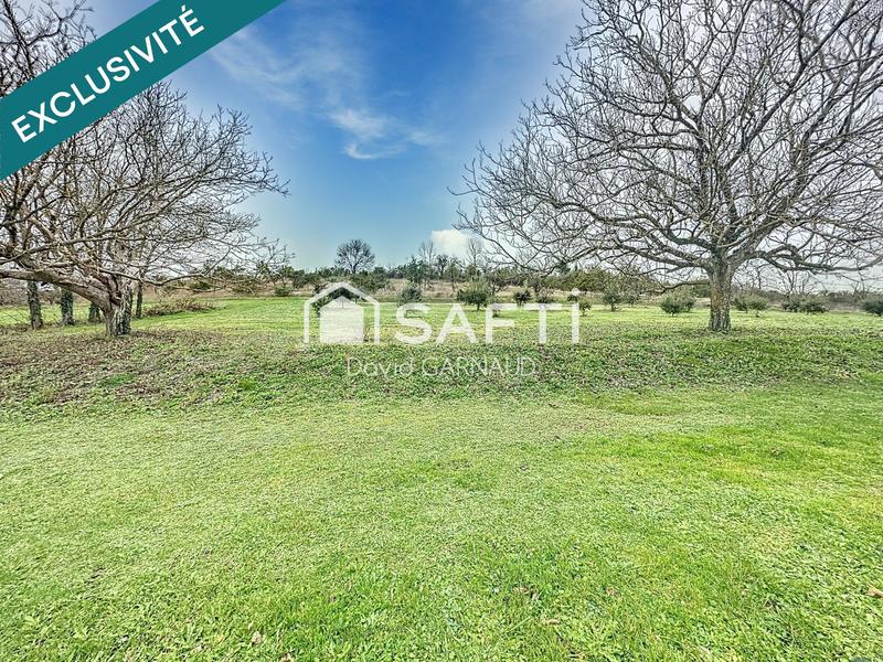 Maison de maîtres - 441 m² - 14 pièces