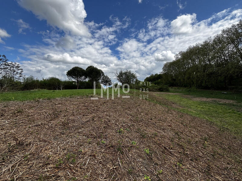 Maison - 113 m² - 1 pièce