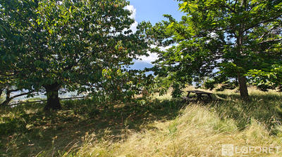 Maison - 156 m² - 5 pièces