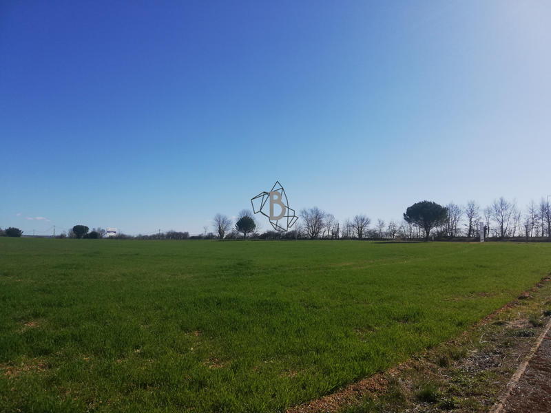 Terrain - 25 514 m²