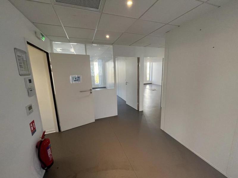 Bureau - 167 m²
