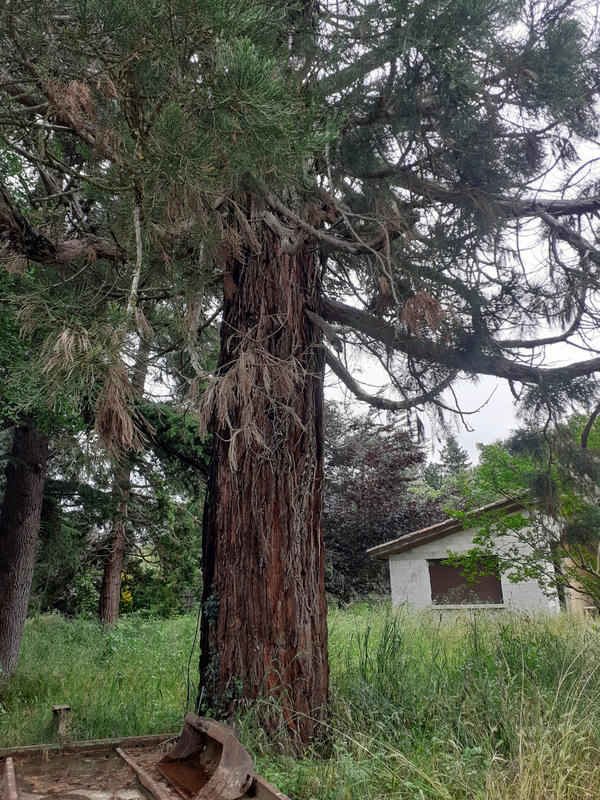 Maison - 320 m² - 15 pièces