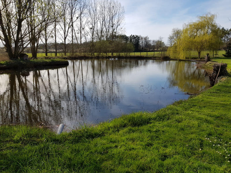 Maison - 300 m² - 8 pièces