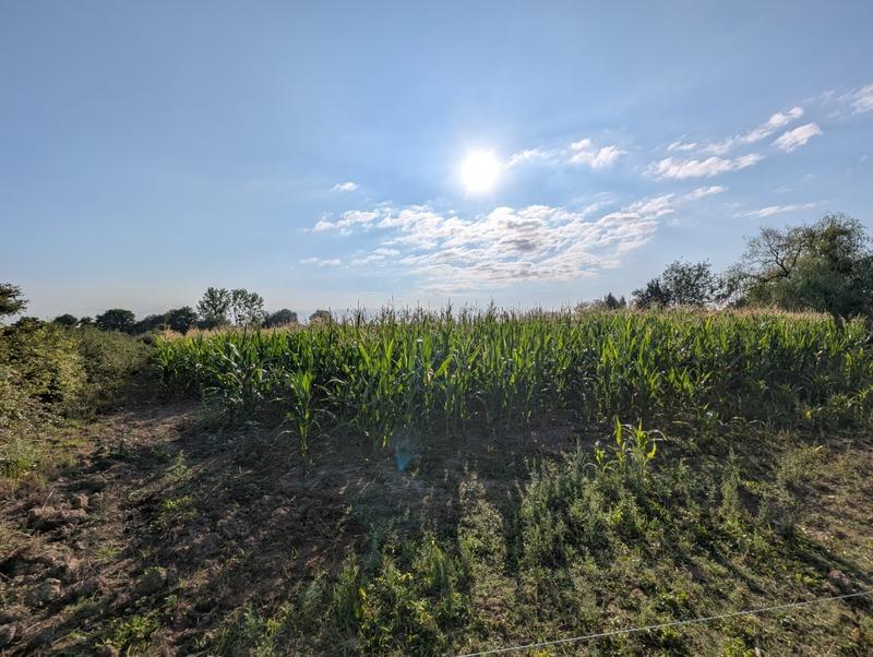 Longère - 128 m² - 5 pièces