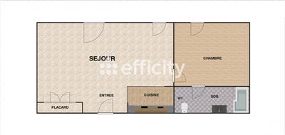 Appartement - 50 m² - 2 pièces