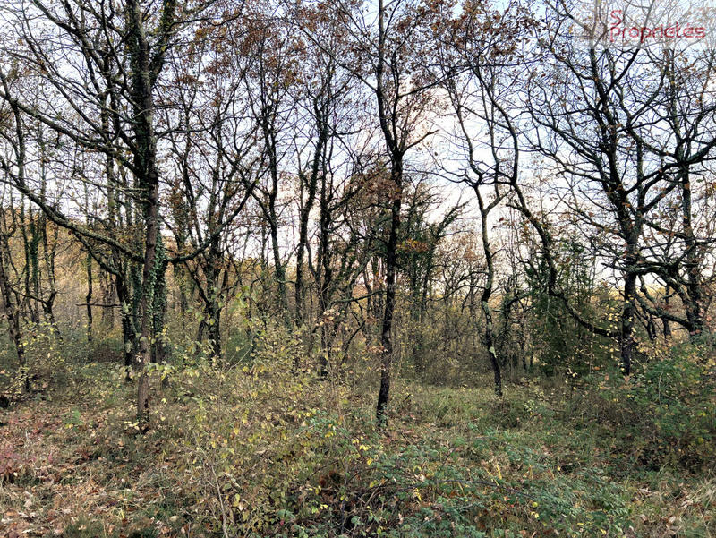 Terrain - 550 000 m²