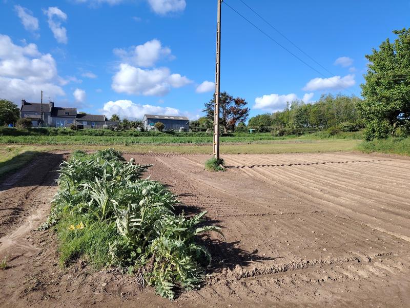 Maison - 122 m² - 6 pièces