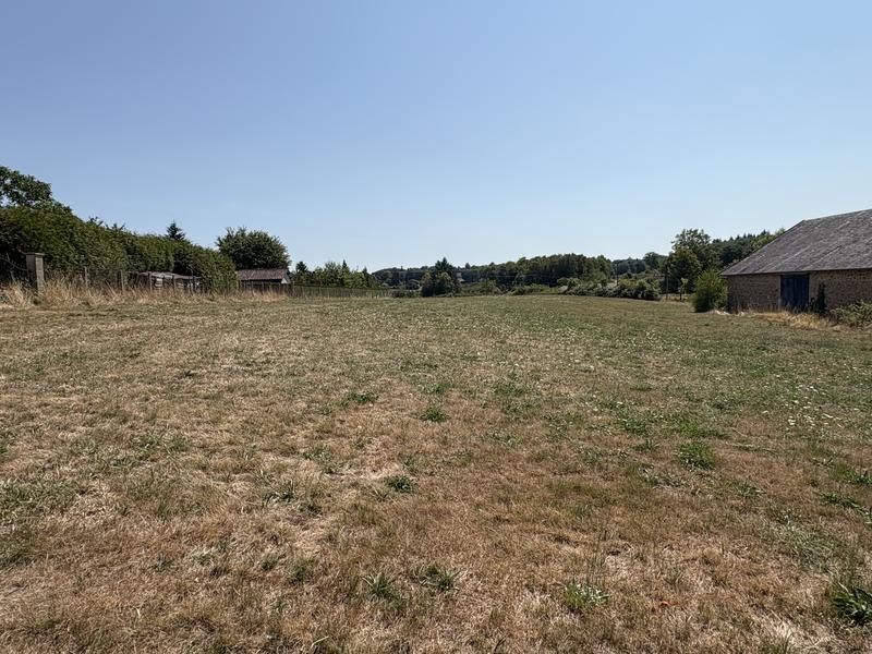 Terrain - 1 557 m²