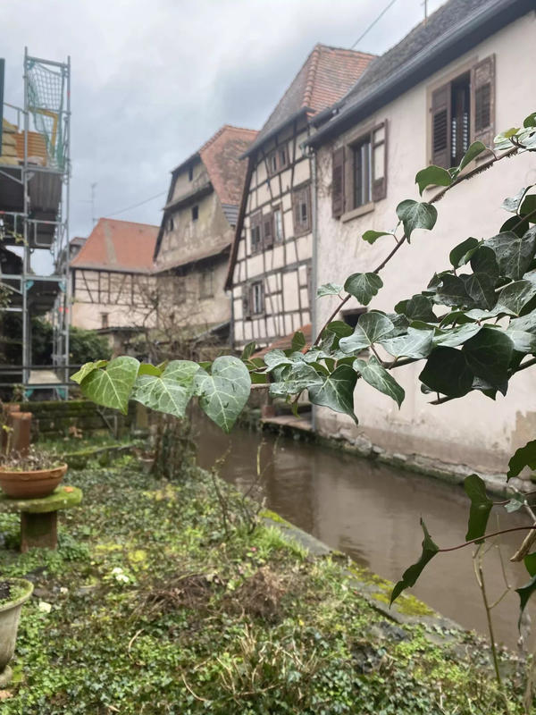 Immeuble - 1 200 m²