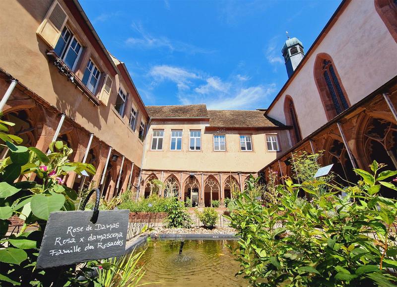 Visite guidée - Coup de projecteur sur les Récollets