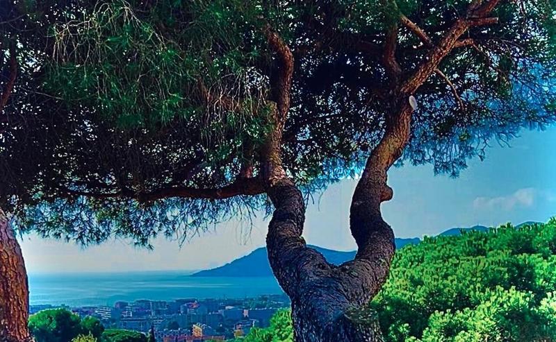 Appartement - 82 m² - 3 pièces