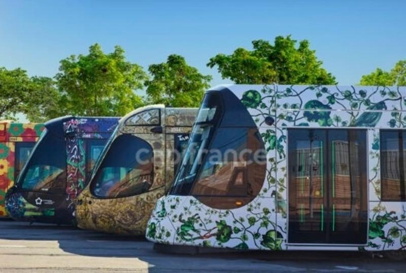 Appartement - 40 m² - 2 pièces