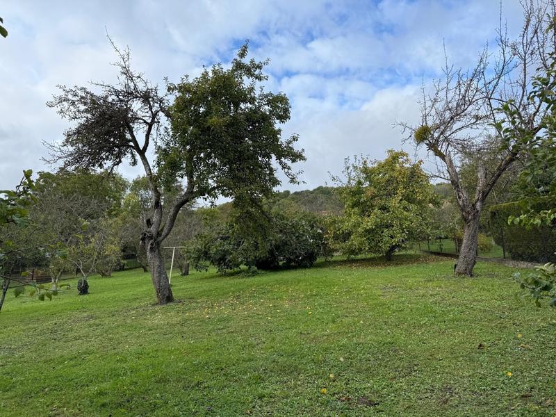 Terrain - 2 484 m²