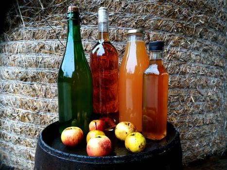 Cidrerie de l'Apothicaire