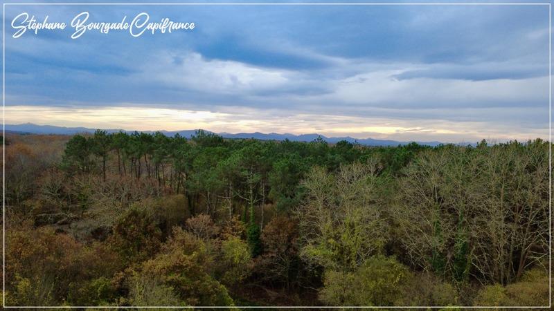 Propriété - 300 m² - 10 pièces