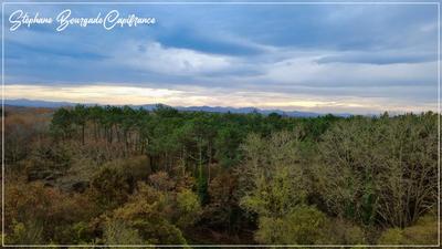 Propriété - 300 m² - 10 pièces