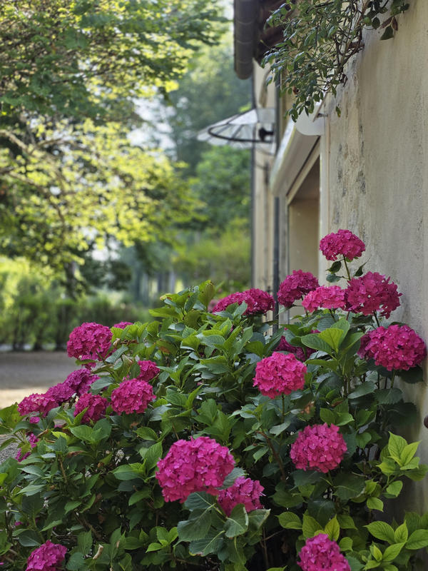 Maison - 262 m² - 7 pièces