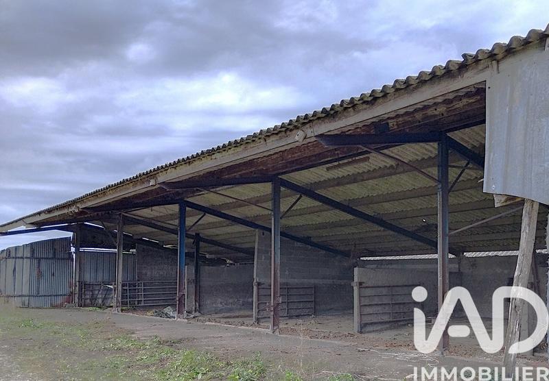 Terrain agricole - 6 850 m²