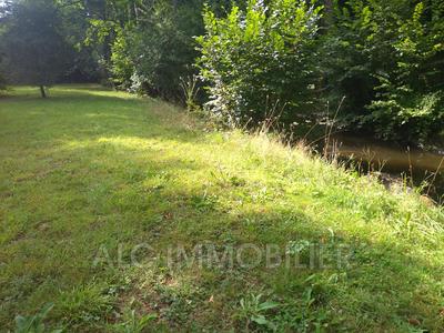 Terrain de loisirs - 1 555 m²