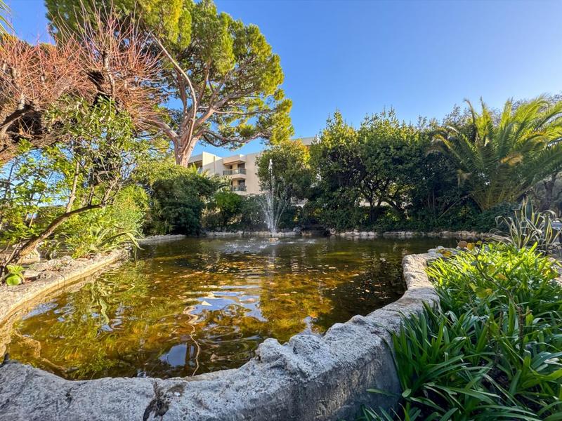 Studio - 30 m² - 1 pièce