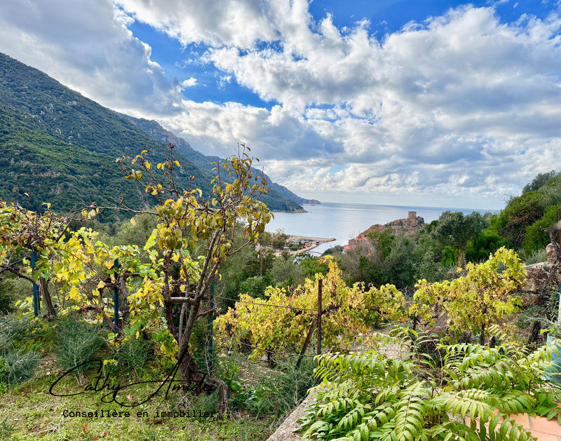 Maison - 96 m² - 4 pièces