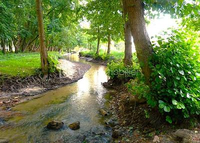 Moulin - 193 m² - 6 pièces