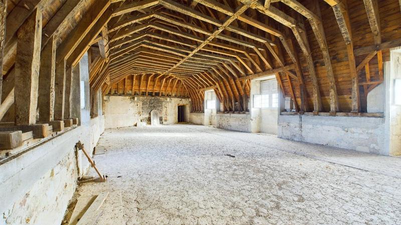 Château - 3 000 m² - 30 pièces