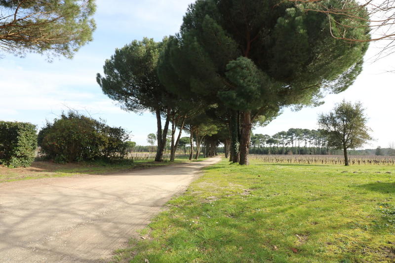 Maison - 1 500 m² - 7 pièces